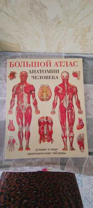 Атлас анатомия человека