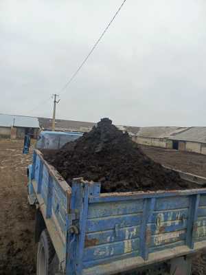 Перегной