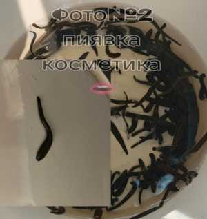 Пивка