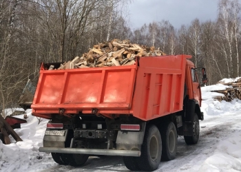 Дрова дуб береза ольха.есть все.