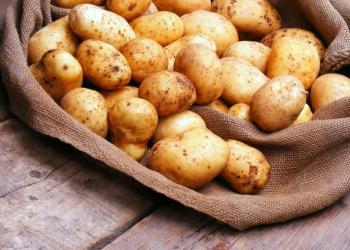 Картофель
