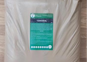 Сапропель