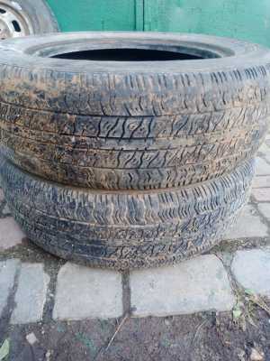 Шины Белшина Л-5-Бел 175/65/14 2 шт
