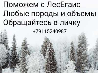 ЛЕС ЕГАИС