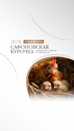 Инкубационное яйцо и суточный молодняк