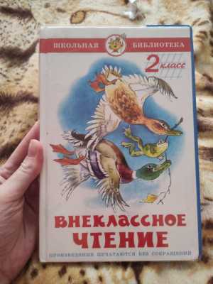 Внеклассное чтение