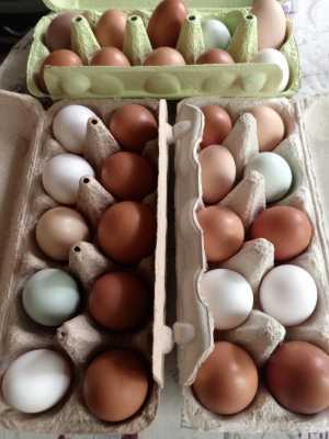 Яйцо куриное домашнее