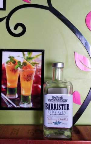 Бутылка - Копилка BARRISTER