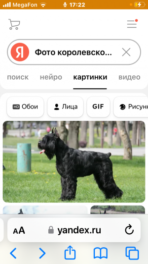 Продам кирпич двойной