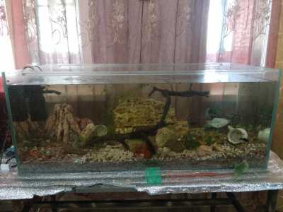 Аквариум