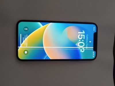 iPhone X