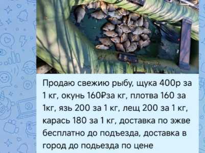 Рыба