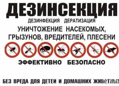 Дизенсекция