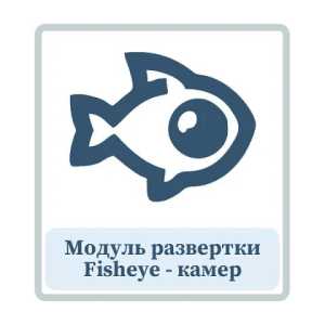 Модуль развертки изображения Fisheye-камер.