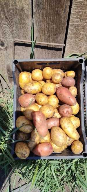 Продам