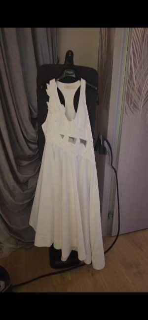 ������ zimmermann