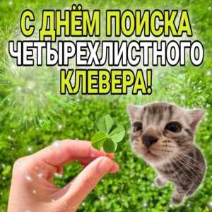 Пятилетка