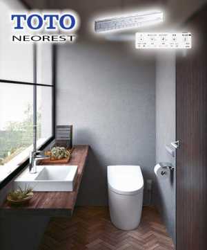 �������� ������ TOTO Neorest  AS1 TCF9710 + CS921B  NW1  (����� ����)