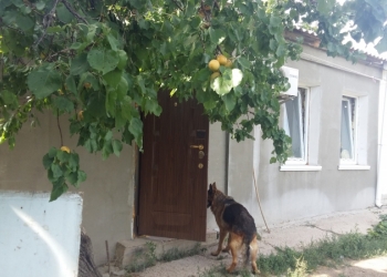 Дом 37 м2