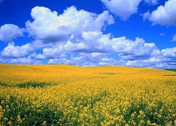 Земля