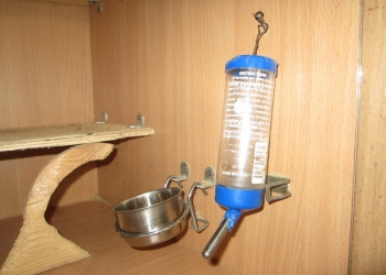 Продаю кормушки и поилкидля животных
