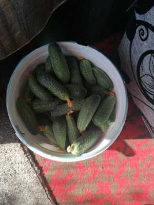 Продам