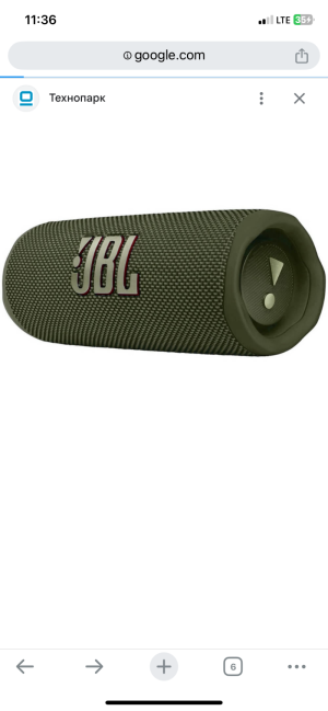 JBL flip 6
