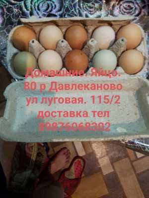 Продам яйца домашние