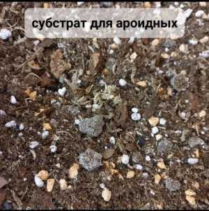 Грунт для ароидных