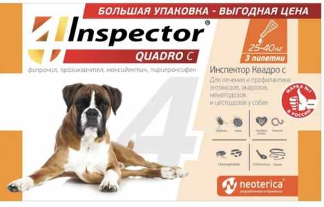 Испектор