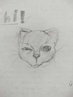 Нарисую