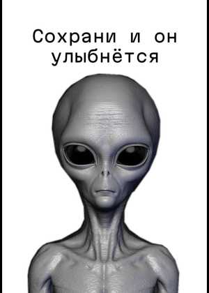 Купи абуса стоит бесплатно