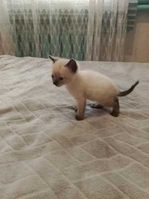 От