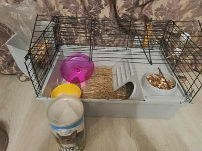 Клетка для грызунов
