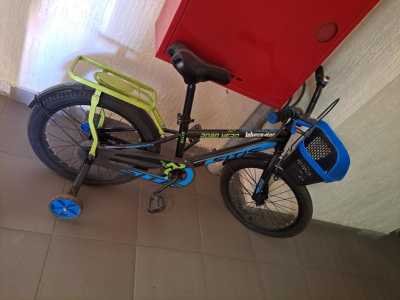 ���������  Sitis
