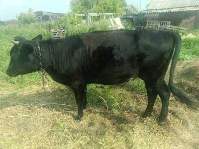 Продам