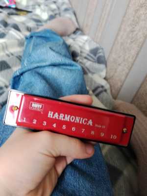 Дудка