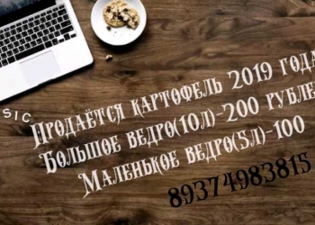 Картофель 2019