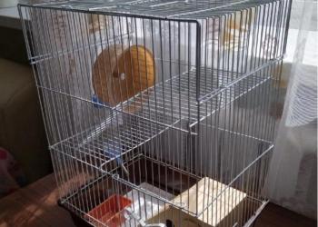 Клетки