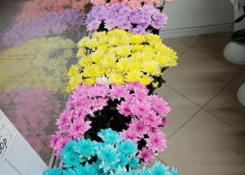 Хризантема кустовая