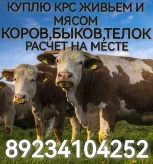 КУПЛЮ С/Х ЖИВОТНЫХ