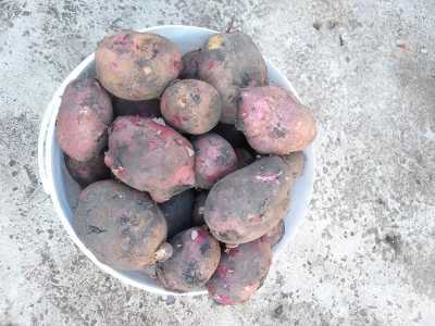 Продам
