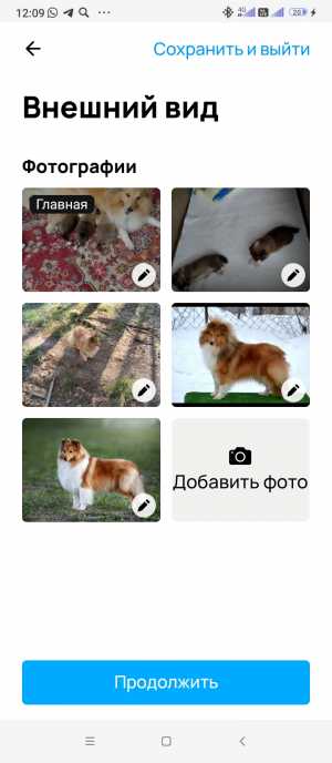 щенки