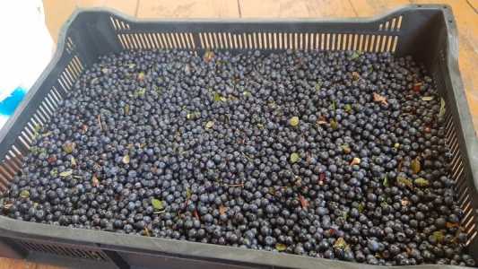 Продам