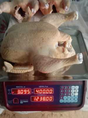 Продам кур бройлер