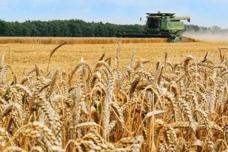 Продам хозяйство в Рязанской области