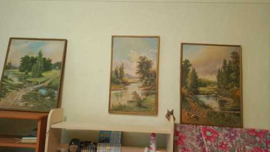 Картины