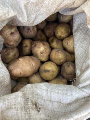 Картофель