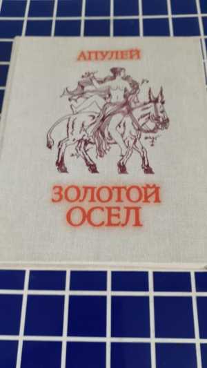Золотой осел