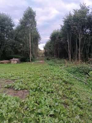 дом 50м2